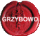 Gród w Grzybowie