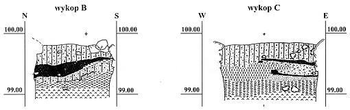 Stratygrafia wykopów przy palatium w Gieczu